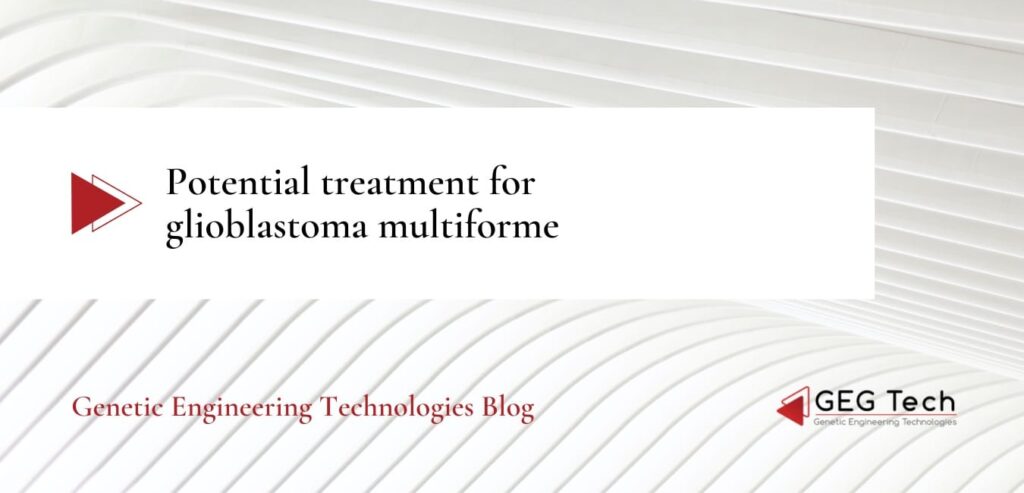 Potential treatment for glioblastoma multiforme 1 - GEG Tech Potential treatment for glioblastoma multiforme - Blog