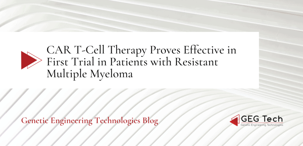 CAR T-Cell Therapy Proves Effective in First Trial in Patients with Resistant Multiple Myeloma - Blog