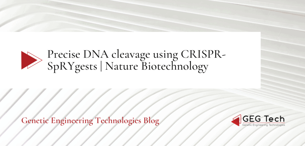 Precise DNA cleavage using CRISPR-SpRYgests | Nature Biotechnology - Blog