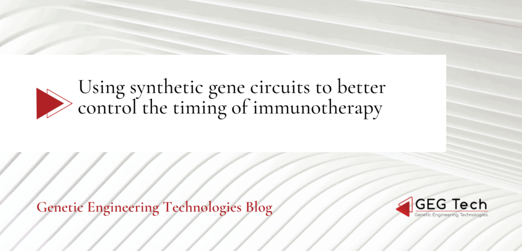 Using synthetic gene cir­cuits to better control the timing of immunotherapy - Blog