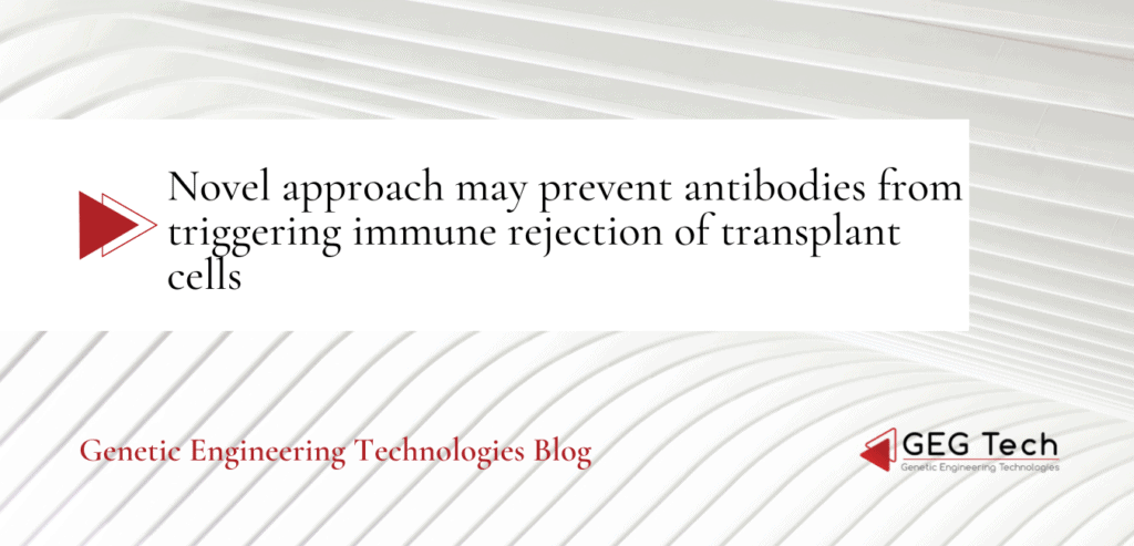Novel approach may prevent antibodies from triggering immune rejection of transplant cells - Blog