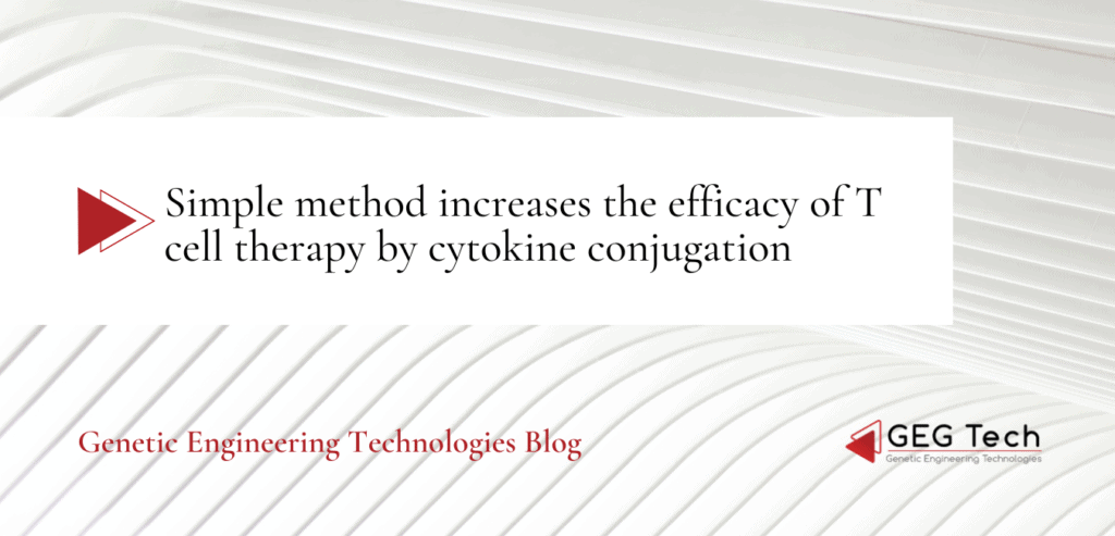 Simple method increases the efficacy of T cell therapy by cytokine conjugation - Blog