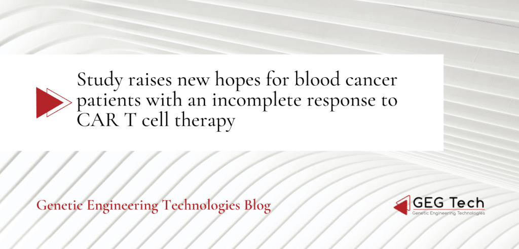 Study raises new hopes for blood cancer patients with an incomplete response to CAR T cell therapy - Blog