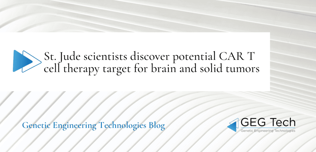 St. Jude scientists discover potential CAR T cell therapy target for brain and solid tumors 1 - GEG Tech St. Jude scientists discover potential CAR T cell therapy target for brain and solid tumors - Blog