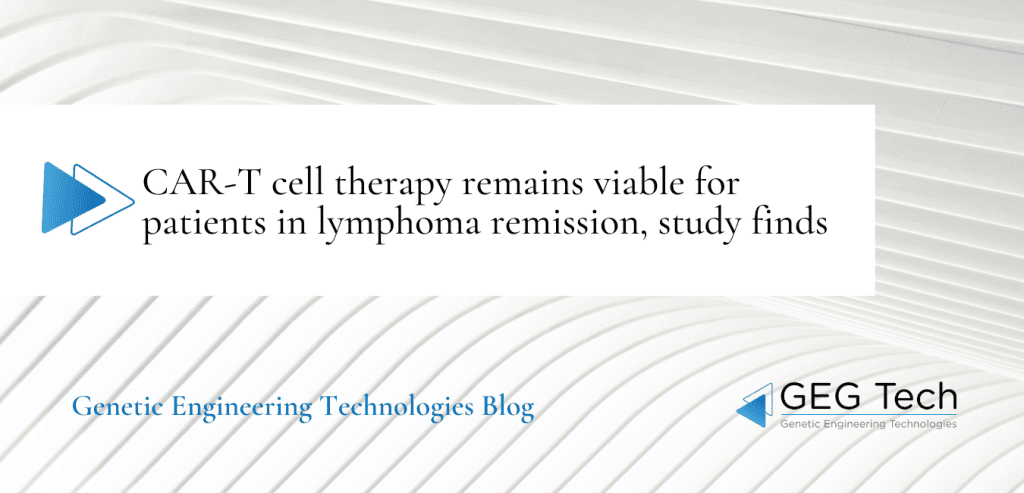 CAR-T cell therapy remains viable for patients in lymphoma remission, study finds - Blog