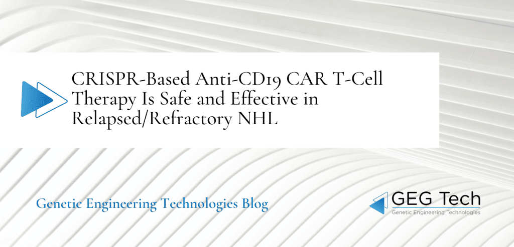 CRISPR-Based Anti-CD19 CAR T-Cell Therapy Is Safe and Effective in Relapsed/Refractory NHL 1 - GEG Tech CRISPR-Based Anti-CD19 CAR T-Cell Therapy Is Safe and Effective in Relapsed/Refractory NHL - Blog
