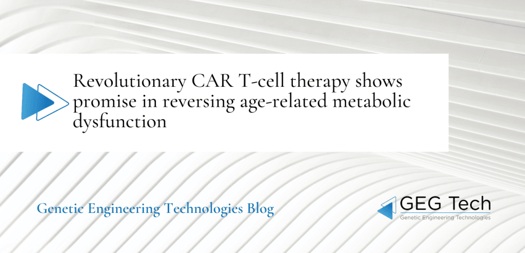 Revolutionary CAR T-cell therapy shows promise in reversing age-related metabolic dysfunction 1 - GEG Tech Revolutionary CAR T-cell therapy shows promise in reversing age-related metabolic dysfunction - Blog
