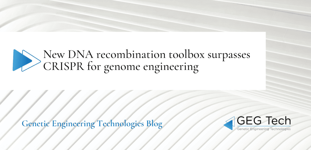 New DNA recombination toolbox surpasses CRISPR for genome engineering 5 - GEG Tech New DNA recombination toolbox surpasses CRISPR for genome engineering - Blog