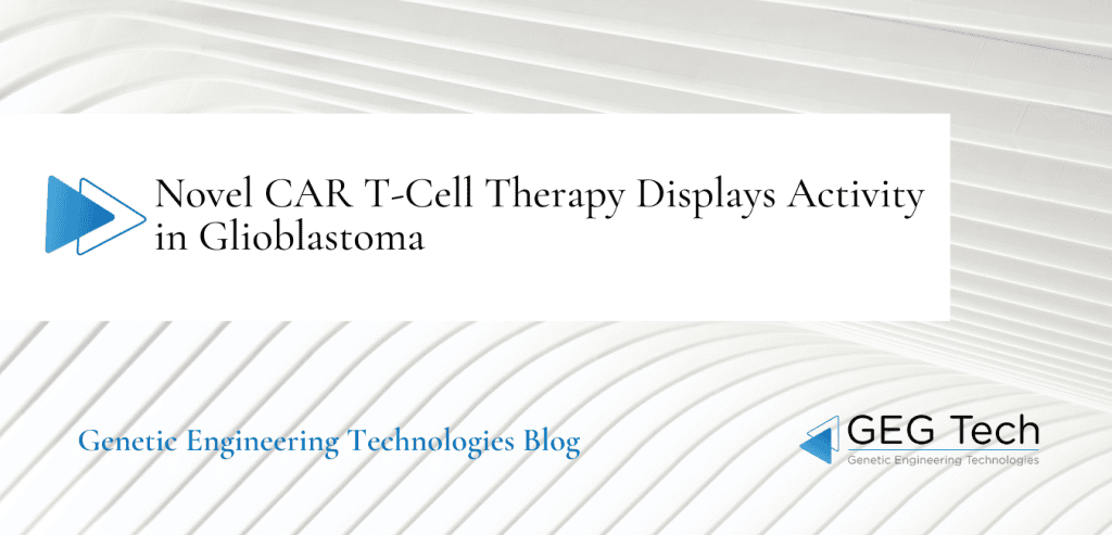 Novel CAR T-Cell Therapy Displays Activity in Glioblastoma - Blog