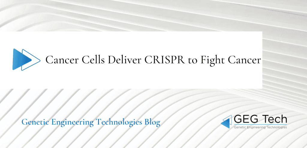 Cancer Cells Deliver CRISPR to Fight Cancer 1 - GEG Tech Cancer Cells Deliver CRISPR to Fight Cancer - Blog
