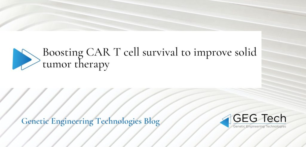 Boosting CAR T cell survival to improve solid tumor therapy - Blog