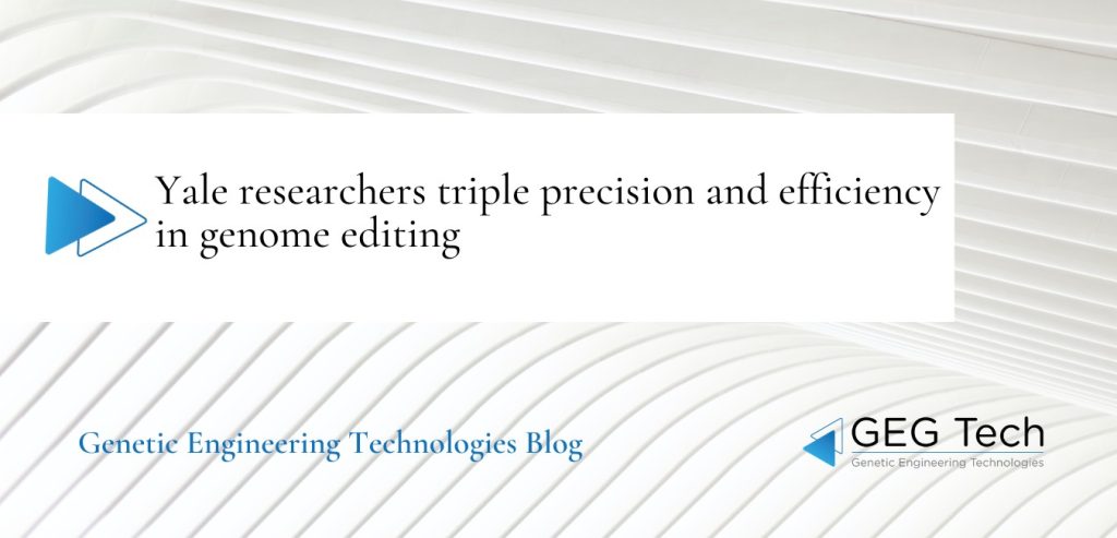 Yale researchers triple precision and efficiency in genome editing - Blog